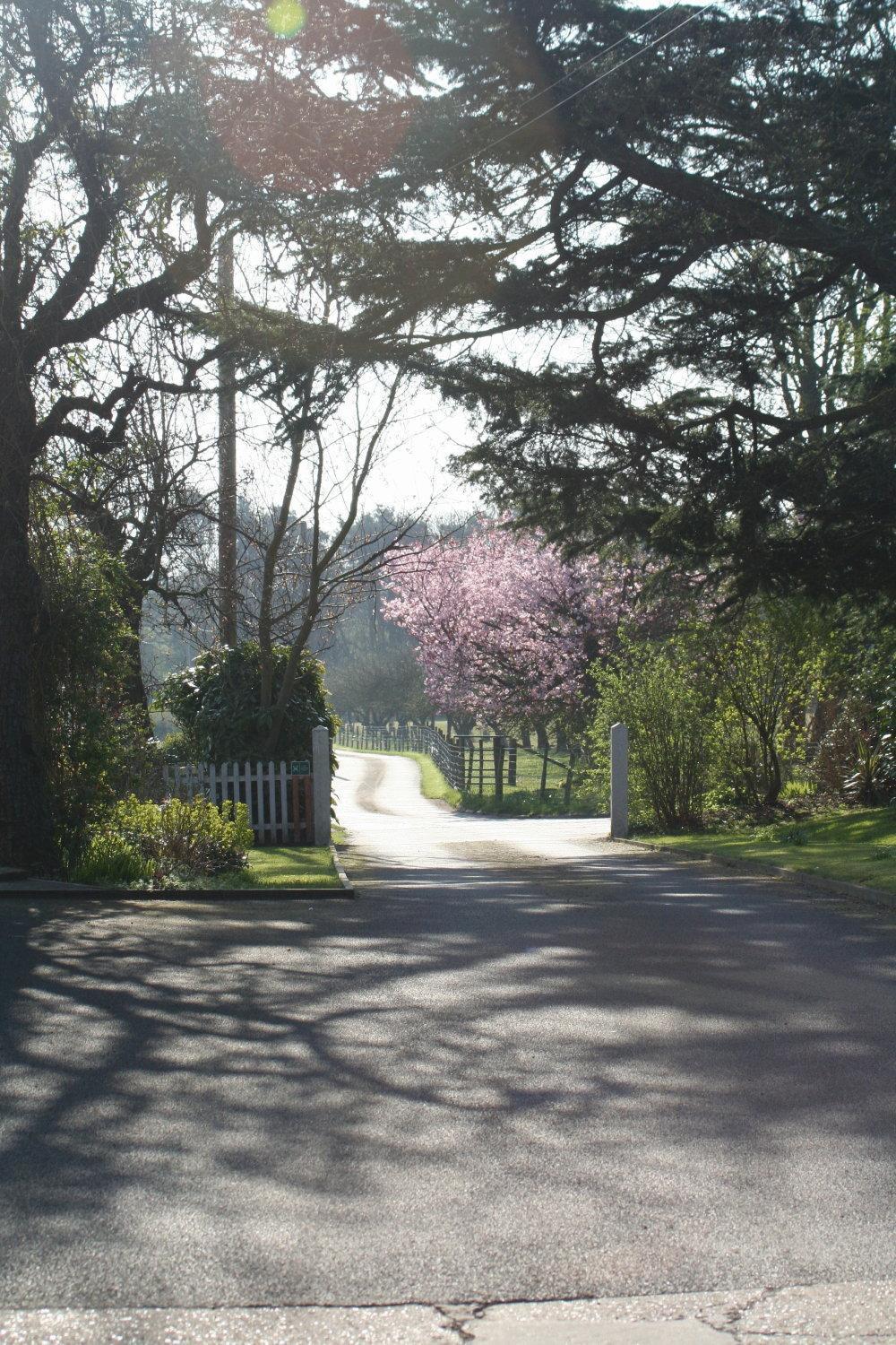 Ingon Bank Farm Bed And Breakfast Stratford-upon-Avon Exterior foto